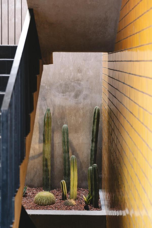 Casa Hoyos - Hotel Boutique San Miguel de Allende Exteriér fotografie